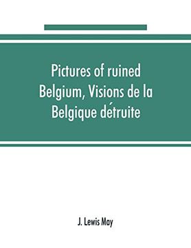 portada Pictures of Ruined Belgium; Visions de la Belgique deì Truite (in English)