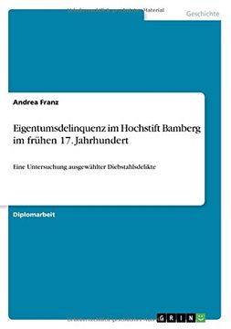portada Eigentumsdelinquenz im Hochstift Bamberg im frühen 17. Jahrhundert (German Edition)