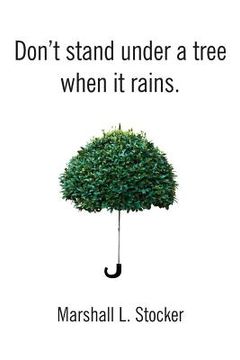 portada Don't Stand Under a Tree When It Rains (en Inglés)