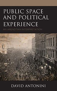 portada Public Space and Political Experience: An Arendtian Interpretation (en Inglés)