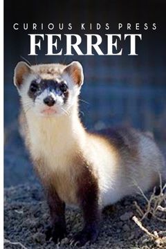 portada Ferret - Curious Kids Press: Kids Book About Animals and Wildlife, Children's Books 4-6 (en Inglés)