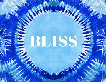 portada Bliss: Transformational Festivals & the Neo Hippie (in English)