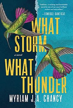 portada What Storm, What Thunder 