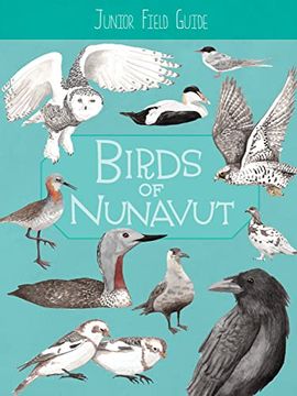 portada Junior Field Guide: Birds of Nunavut: English Edition (en Inglés)