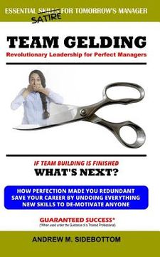 portada Team Gelding: Revolutionary Leadership for Perfect Managers (en Inglés)