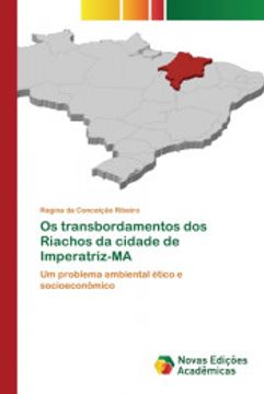 portada Os Transbordamentos dos Riachos da Cidade de Imperatriz-Ma: Um Problema Ambiental Ético e Socioeconômico (en Portugués)