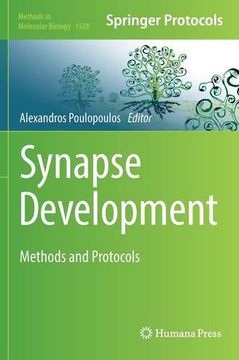 portada Synapse Development: Methods and Protocols (Methods in Molecular Biology)