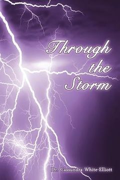 portada through the storm (en Inglés)