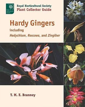 portada hardy gingers: including hedychium, roscoea, and zingiber