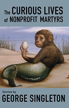 portada The Curious Lives of Nonprofit Martyrs 