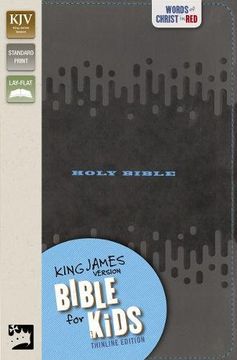 portada KJV Bible for Kids, Leathersoft, Charcoal (in English)
