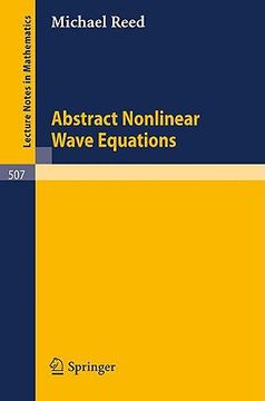 portada abstract non linear wave equations (en Inglés)
