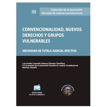 portada CONVENCIONALIDAD, NUEVOS DERECHOS Y GRUPOS VULNERABLES (in Spanish)