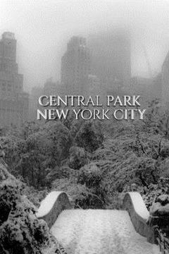 portada Central park Bridge New York City snow Winter Blank Journal $ir Michael Huhn designer edition: cental park New York City Winter wounderland Blank Jour (in English)