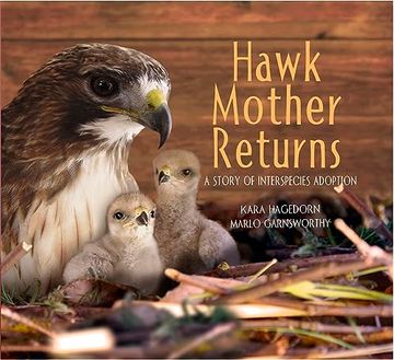 portada Hawk Mother Returns: A Story of Interspecies Adoption (Hawk Mother, 2) (in English)