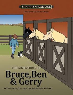 portada The Adventures of Bruce, Ben & Gerry: Shawn-Kay the Buck Toothed Border Collie (en Inglés)