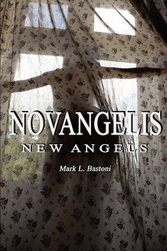 portada novangelis (new angels)