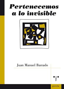 portada Pertenecemos a lo Invisible (in Spanish)