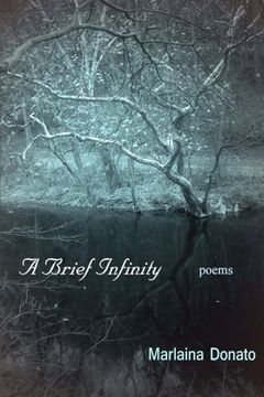 portada A Brief Infinity: Poems