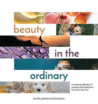 portada Beauty in the Ordinary: An Inspiring Collection of Readings and Meditations for Lent or any Time 