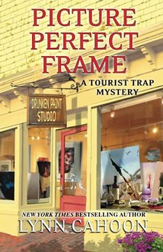 portada Picture Perfect Frame: 12 (Tourist Trap Mystery) (in English)
