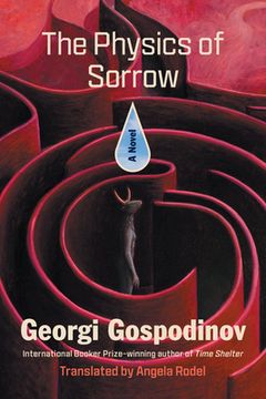 portada The Physics of Sorrow (en Inglés)