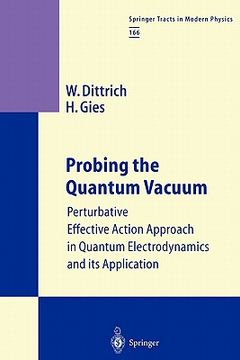 portada probing the quantum vacuum: perturbative effective action approach in quantum electrodynamics and its application (en Inglés)