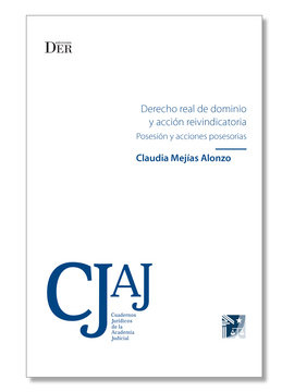 portada Derecho real de dominio y acción reivindicatoria. Posesión y acciones posesorias (in Spanish)