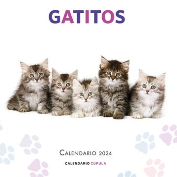 portada Calendario Gatitos 2024 (in Spanish)