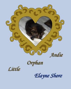 portada Little Orphan Andie (Kittens, Kittens and more Kittens) (Volume 4)