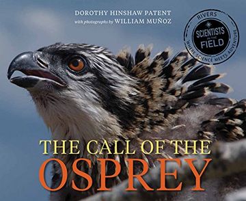 portada Call of the Osprey (Scientists in the Field (Paperback)) (en Inglés)