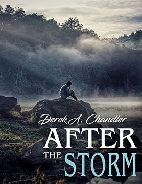 portada After the Storm (en Inglés)