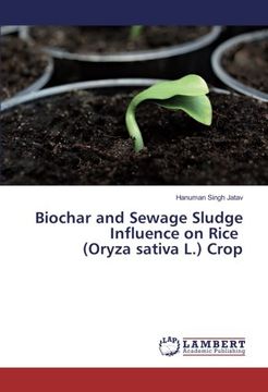 portada Biochar and Sewage Sludge Influence on Rice (Oryza sativa L.) Crop