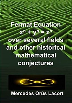 portada Fermat Equation Over Several Fields and Other Historical Mathematical Conjectures (in English)