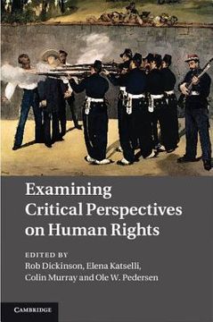 portada examining critical perspectives on human rights