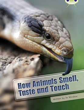 portada Bug Club Independent non Fiction Year two White a how Animals Smell, Taste and Touch (in English)