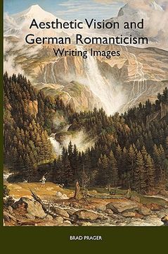 portada aesthetic vision and german romanticism: writing images (in English)
