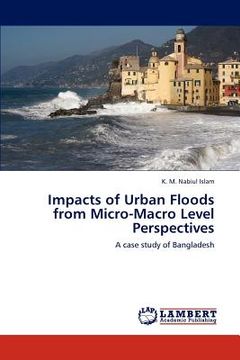 portada impacts of urban floods from micro-macro level perspectives (en Inglés)