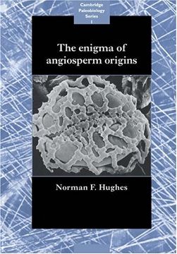 portada The Enigma of Angiosperm Origins Paperback (Cambridge Paleobiology Series) (in English)