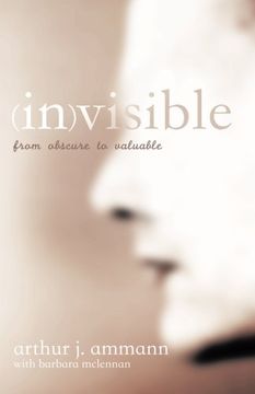 portada (In)Visible: From Obscure to Valuable