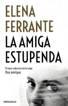 portada La amiga estupenda (Dos amigas 1) (in Spanish)