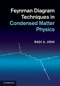 portada Feynman Diagram Techniques in Condensed Matter Physics (in English)