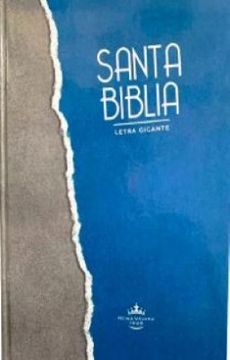 portada Santa Biblia Gris Azul Letra Grande