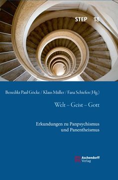 portada Welt - Geist - Gott: Erkundungen Zu Panpsychismus Und Panentheismus (en Alemán)