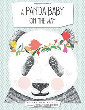 portada A Panda Baby on the Way (en Inglés)