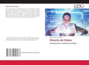 portada Minería de Datos: Introducción a la Minería de Datos
