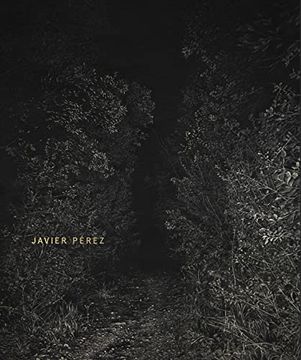 portada Javier Perez - Presence Absence