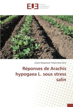 portada Réponses de arachis hypogaea l. sous stress salin (OMN.UNIV.EUROP.)