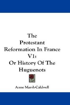 portada the protestant reformation in france v1: or history of the huguenots (en Inglés)
