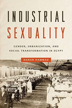 portada Industrial Sexuality: Gender, Urbanization, and Social Transformation in Egypt
